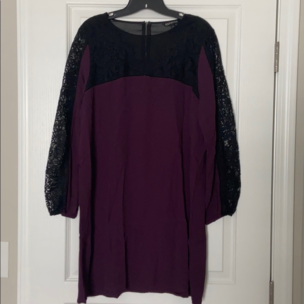Express Chiffon/Lace Dress